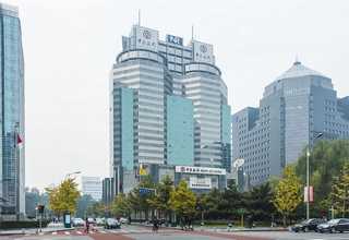 服务好的猫粮进口报关费用多少