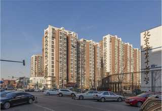 汉南区名贵苗木种子生产技术